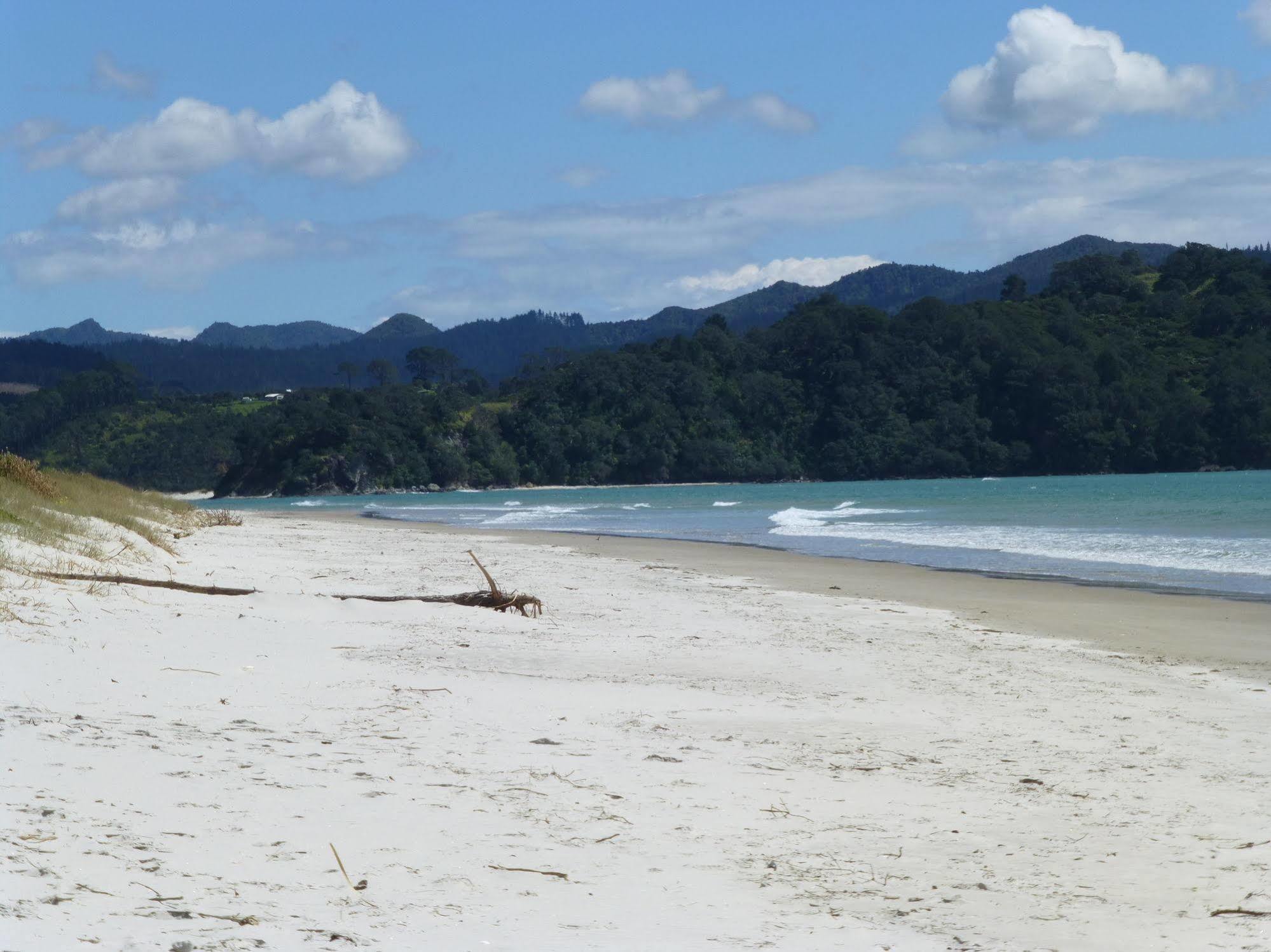 Harbour Drive B&B Matarangi Luaran gambar